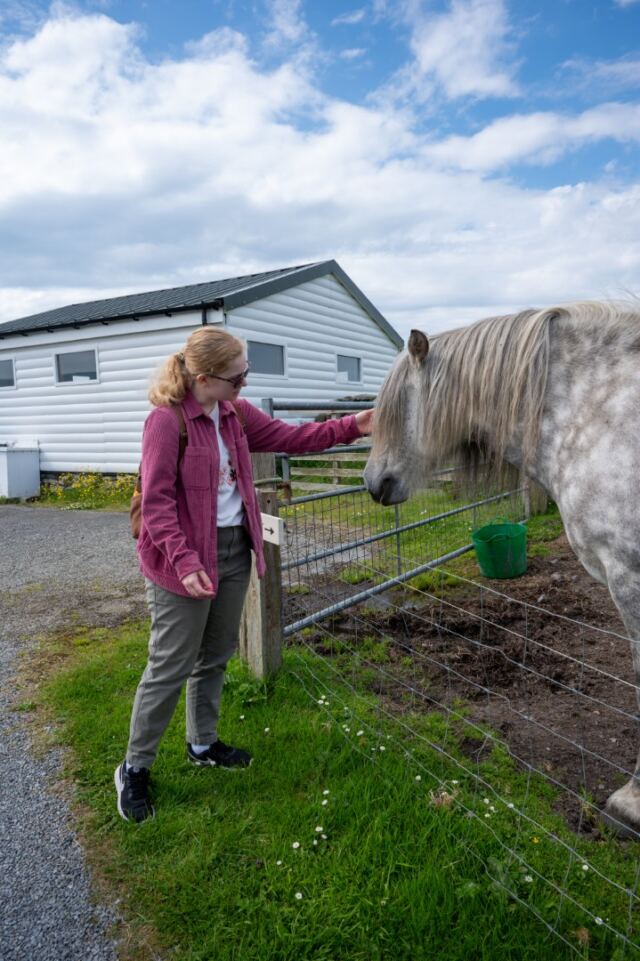 The Shetland Pony Experience 20