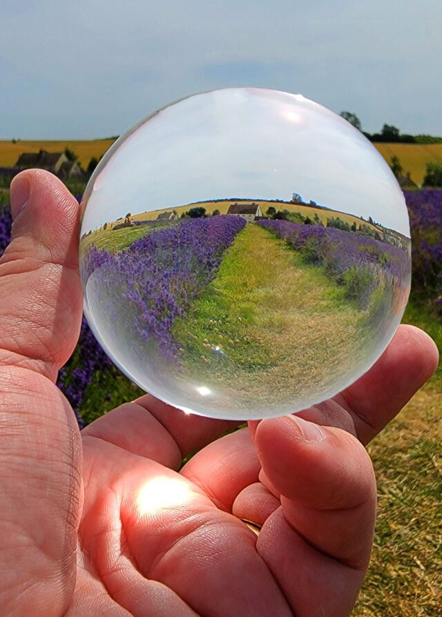 Cotswold Lavender - spherical views (1)