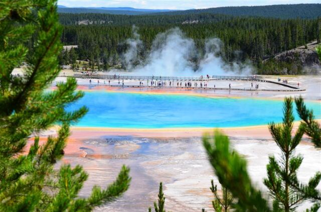 Grand Prismatic - from atop hill on Fairy Falls trail (2)