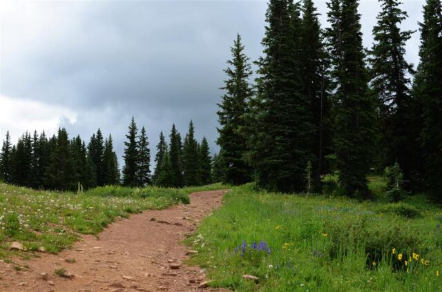 Our first hiking path of the vacation