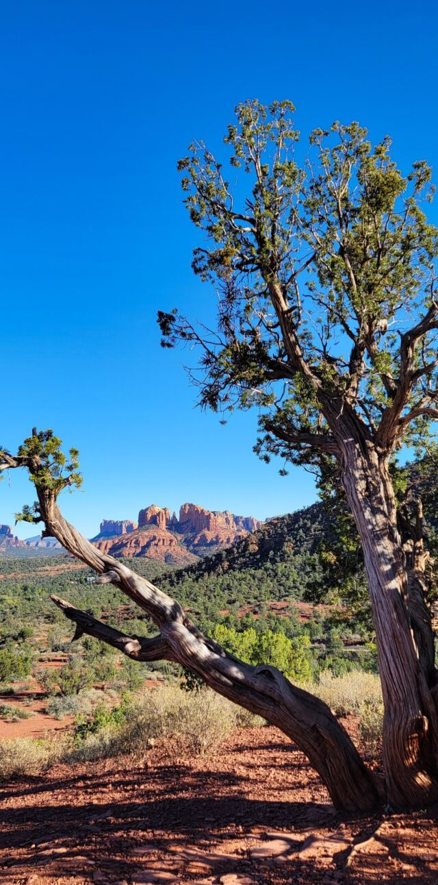 Cathedral Rock - vista views (05)