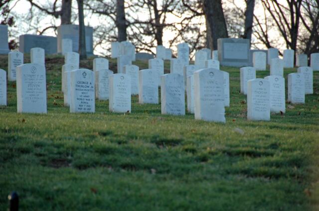 Arlington markers (1)