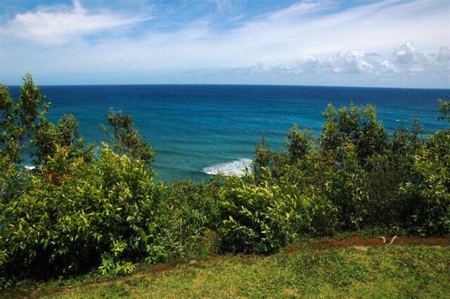 Princeville Hotel scenery (7)