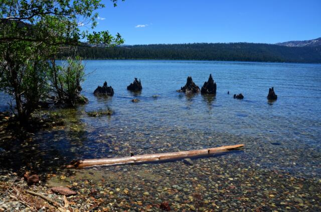 Fallen Leaf Lake 04