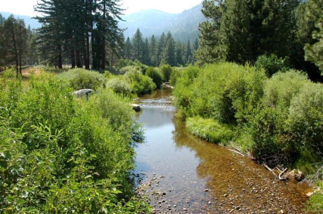 Meadow creek