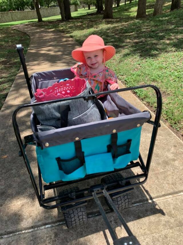 Shiloh - wagon ride