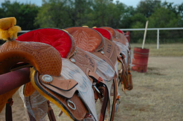 saddles-lined-up-waiting-to-be-won