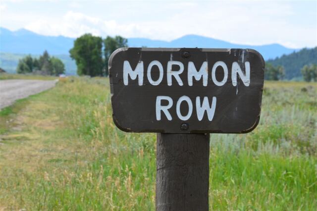 Mormon Row