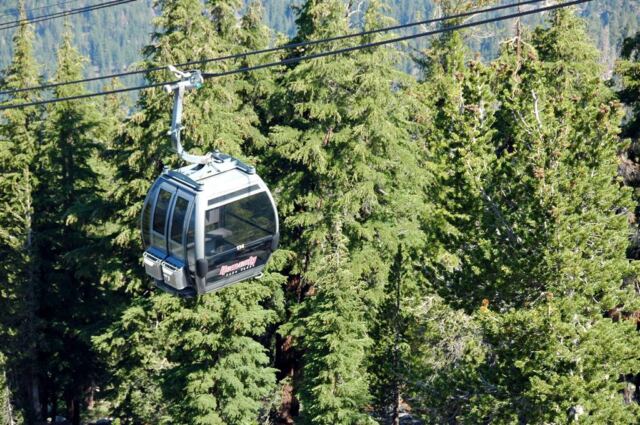 Heavenly gondola through the trees