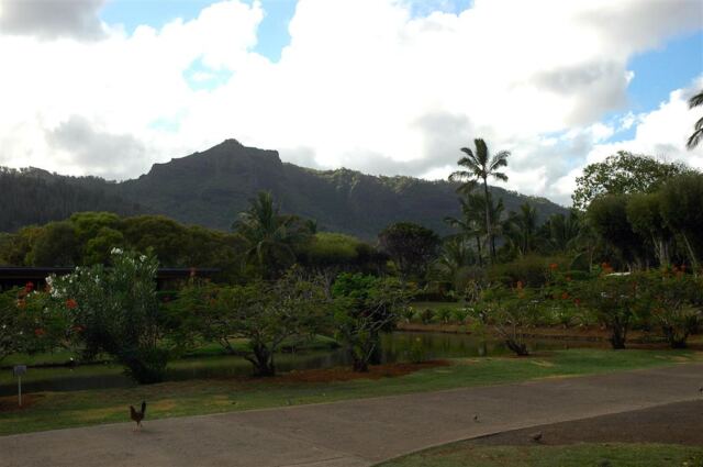 Paradise in the distance