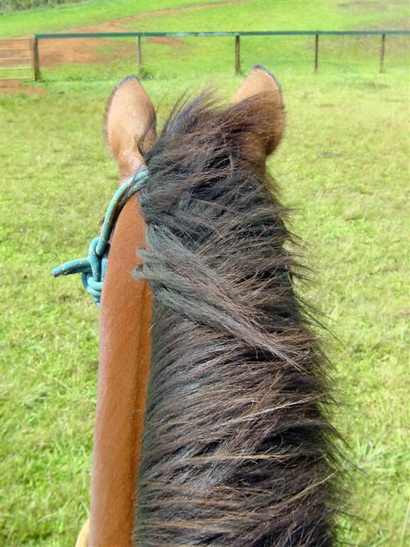 Kathy's view