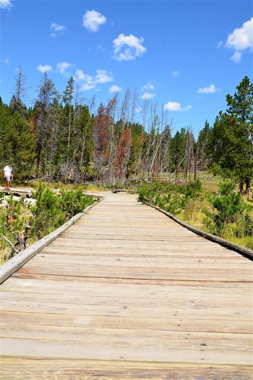 Boardwalk
