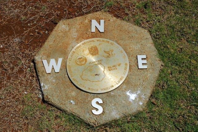 Compass rose