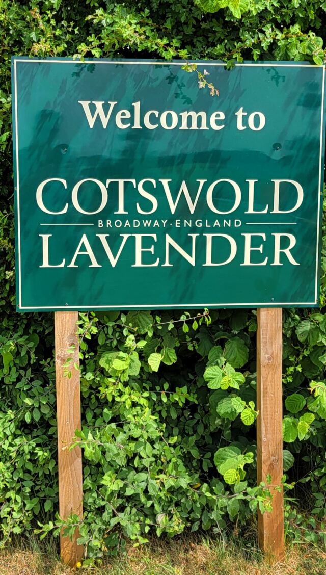 Welcome to Cotswold Lavender