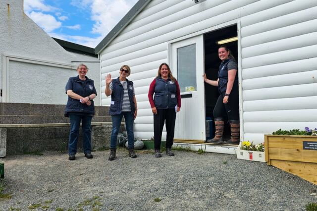 The Shetland Pony Experience 82