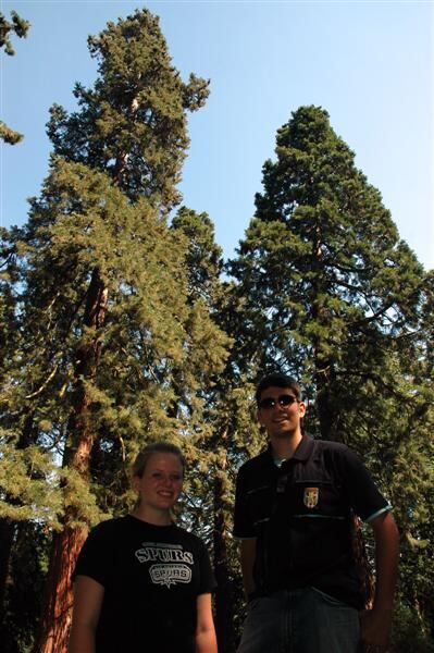 Melanie, Andrew, and some big trees
