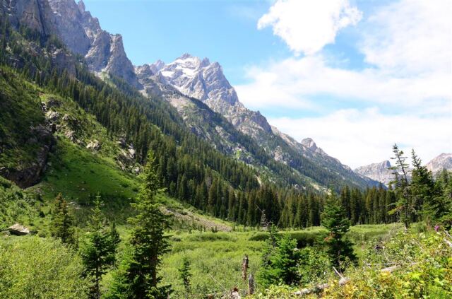 Cascade Canyon
