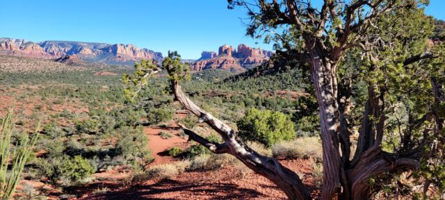 Cathedral Rock - vista views (07)