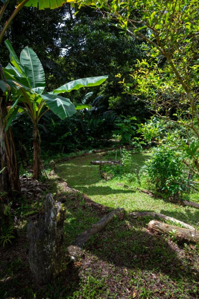 Liamuga Natural Farm tour (35)