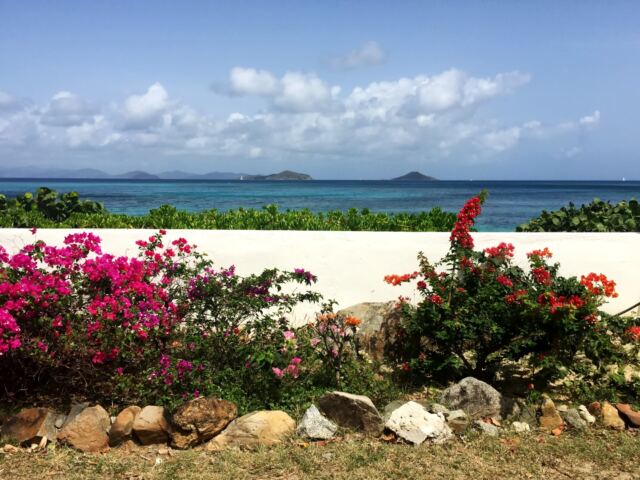 Villa on the Beach flowers 2