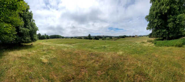 Chipping Campden sheep fields (09)