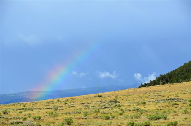 Rainbow in National Elk Preserve (1)