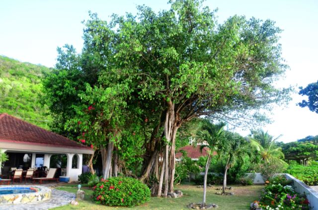 A Villa on the Beach 2