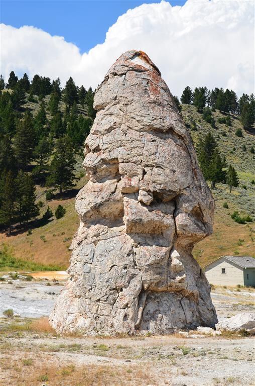 Liberty Cap