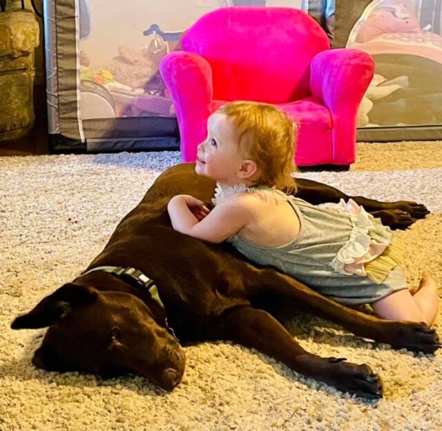 Shiloh and Cabela