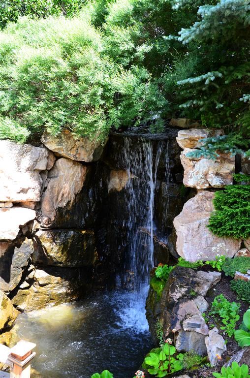 Betty Ford gardens (4)
