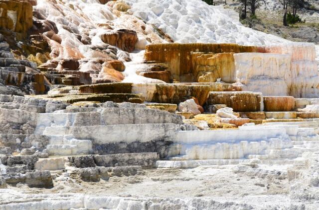 Devil's Thumb (Mammoth Hot Springs) (6)