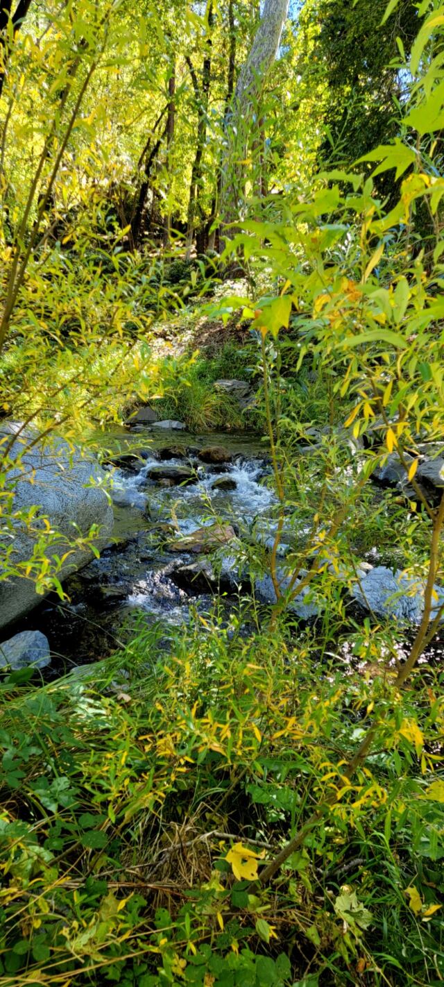 Junipine Creek views (09)
