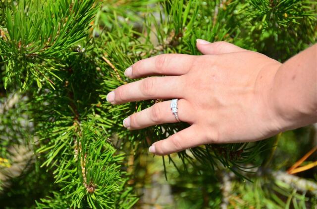 Mel's ring and pine trees