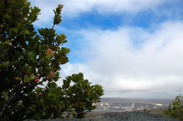 Halema'uma'u crater (4)