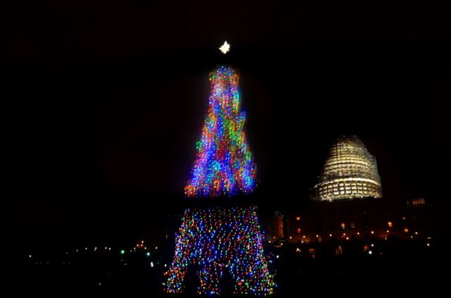 Capitol-Christmas-Tree-through-the-candy-cane-glasses