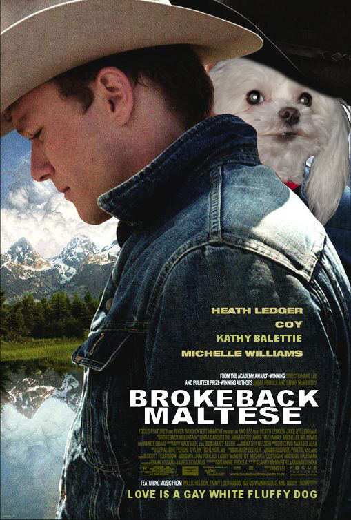 brokeback-maltese