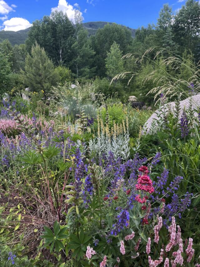 John Denver sanctuary 13