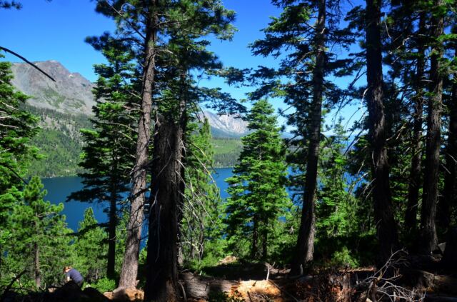 Ridge above Fallen Leaf Lake 04