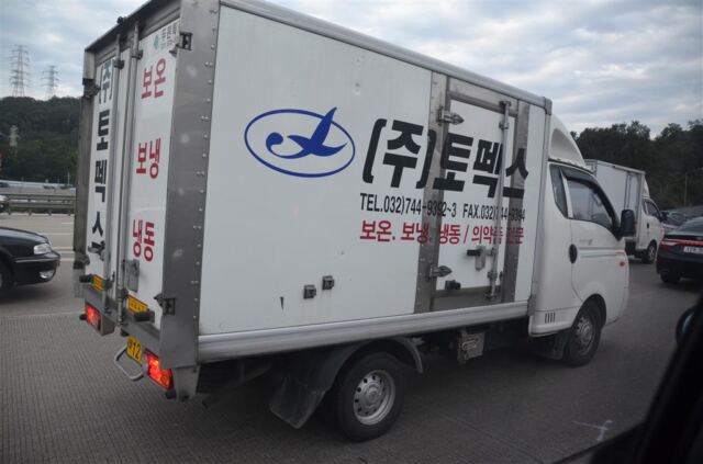 tons-of-these-little-bongo-trucks-all-over-the-place