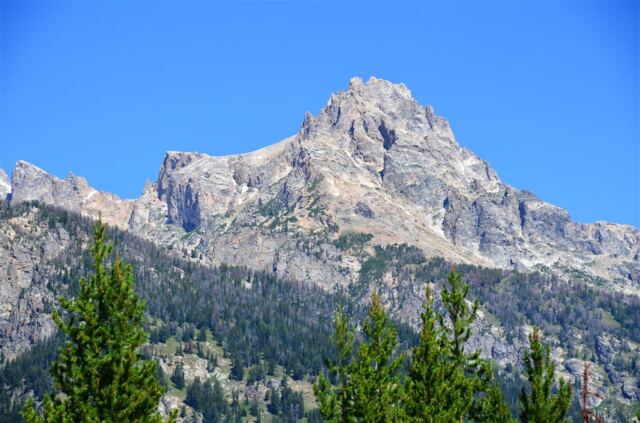 Some Teton closeups (2)
