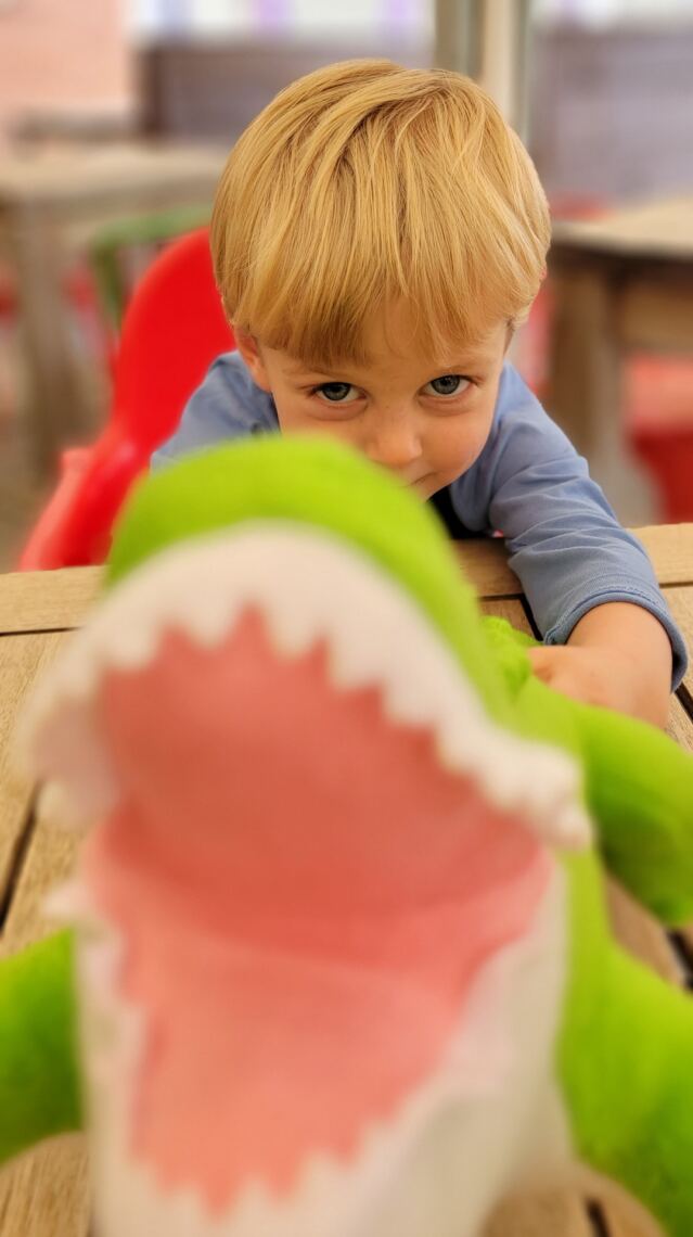 Henry and Croc (2)