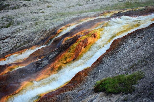 Excelsior Geyser runoff stream (2)