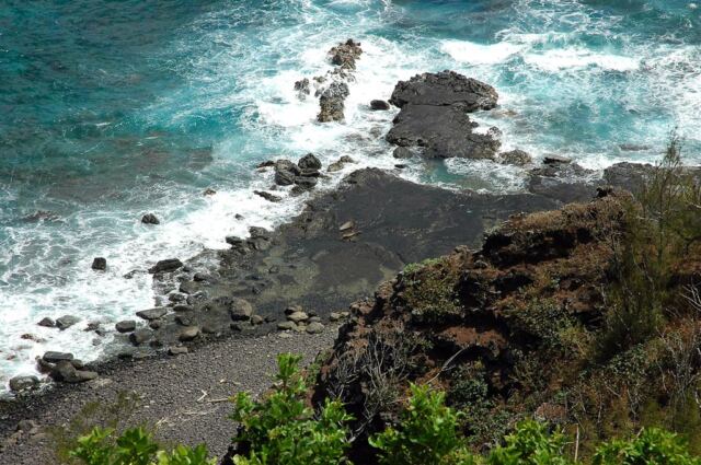 Monk seals sunning on the rocks