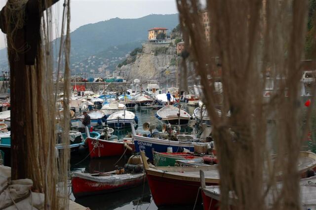 Harbor through the nets