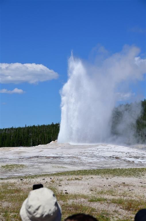 Old Faithful eruption (6)