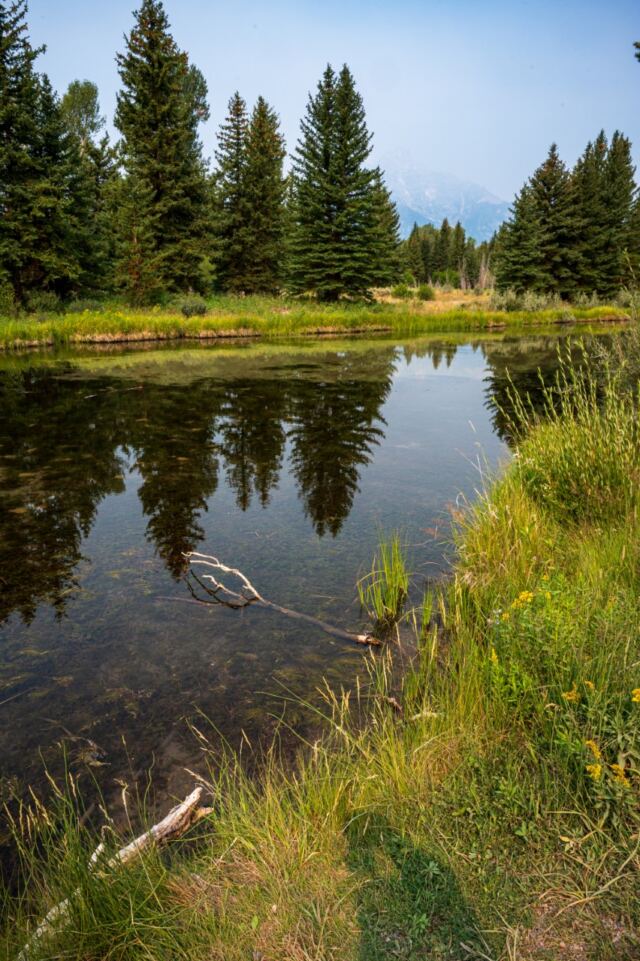 Schwabacher Landing (03)