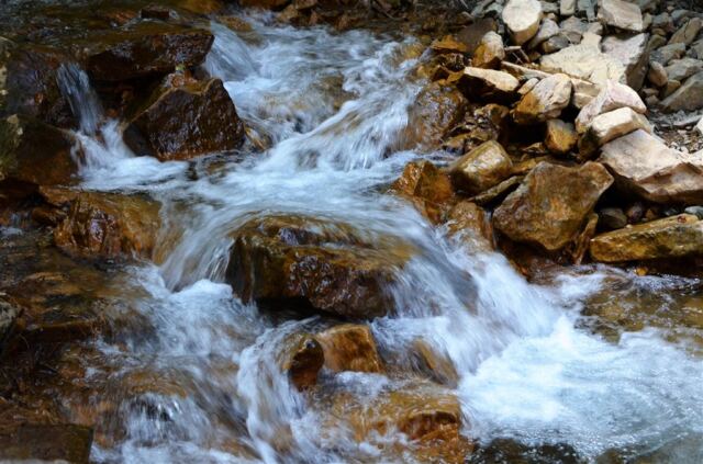 Pathside stream (3)