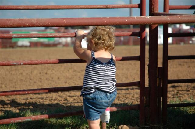 lizzie-at-the-fence