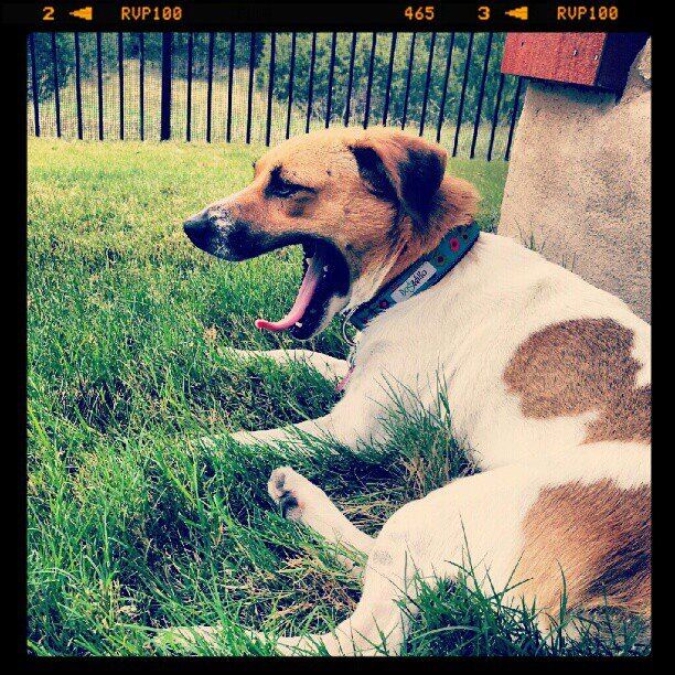 pipstagram-2