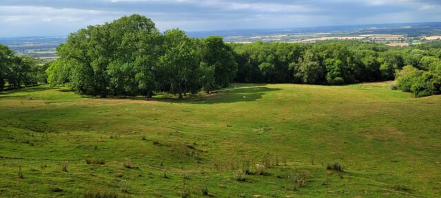 Dover's Hill views (7)